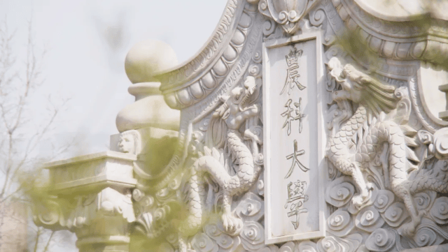 中国农业大学(中国农业大学专业)