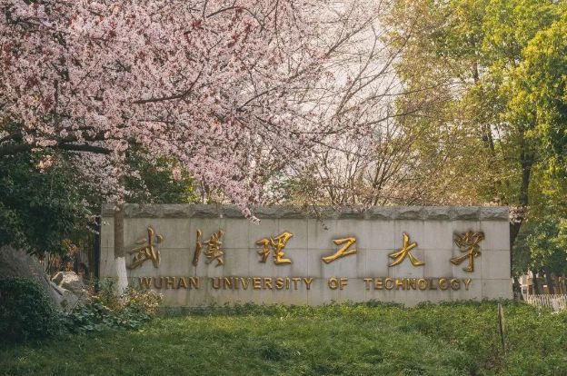 武汉理工大学(武汉理工大学分数线)