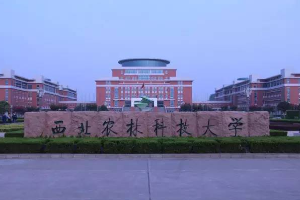 西北农林科技大学毕业证(西北农林科技大学毕业证样本)