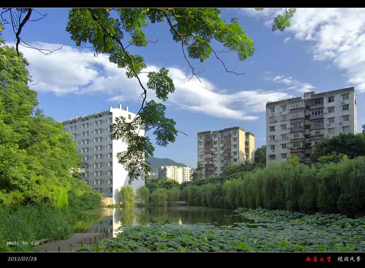 西南大学毕业证(西南大学毕业证发放时间)