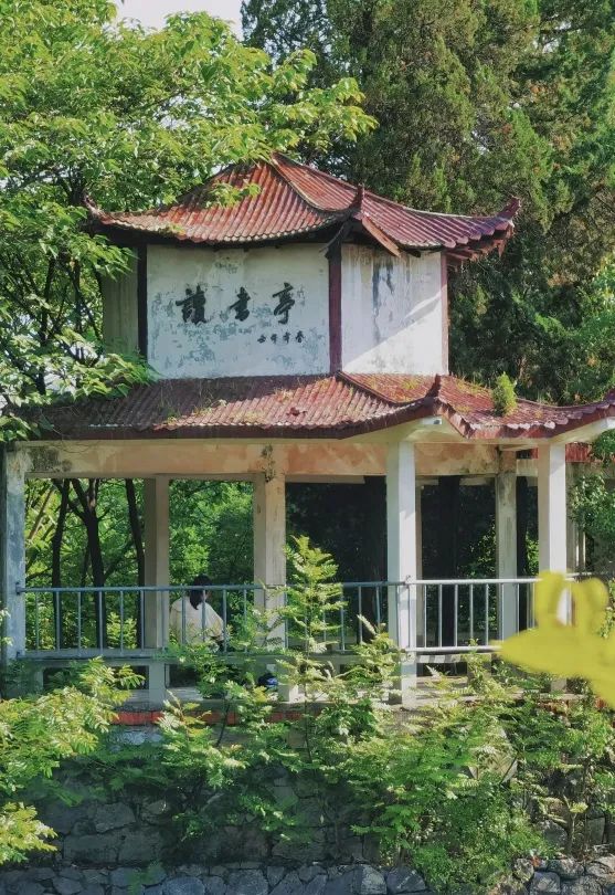 安徽大学排名再度调整