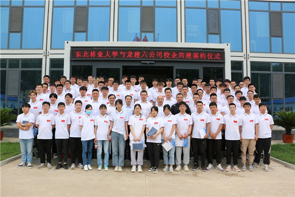 东北林业大学毕业证的样本和图片