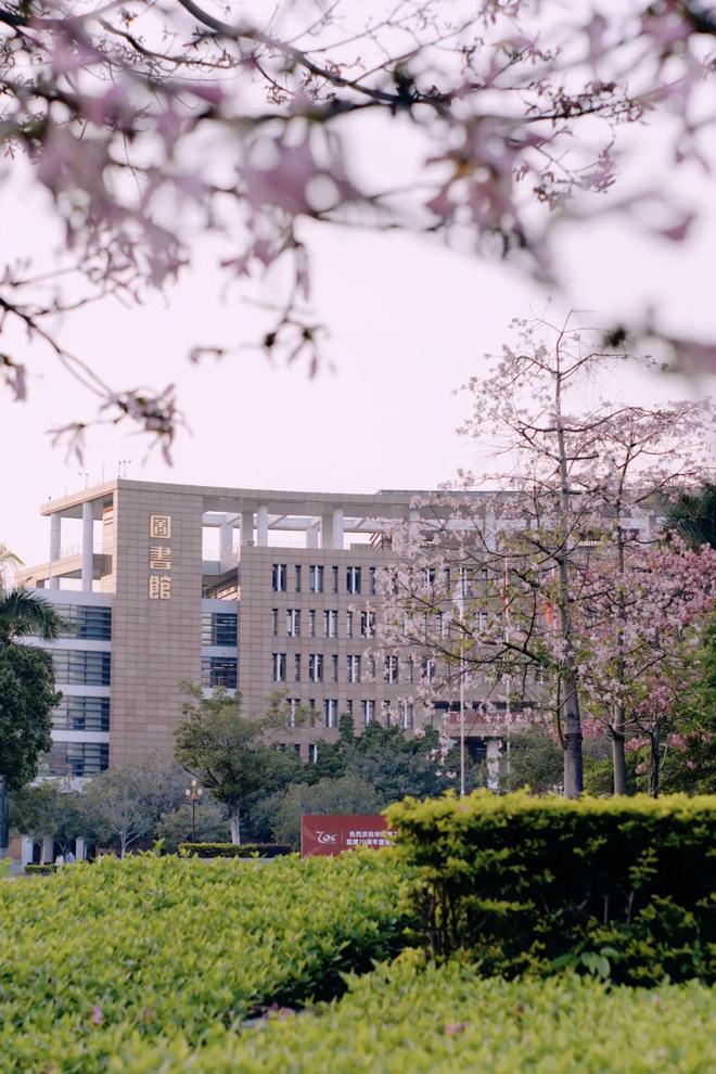 华南理工大学是985还是211