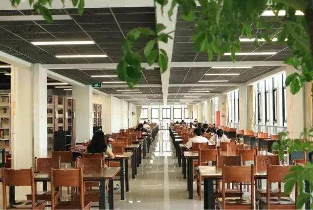 暨南大学是985还是211大学