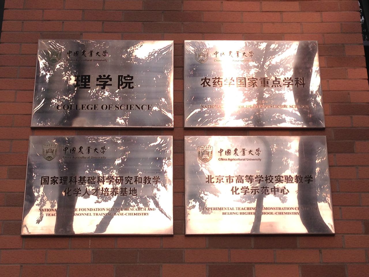 中国农业大学毕业证补办