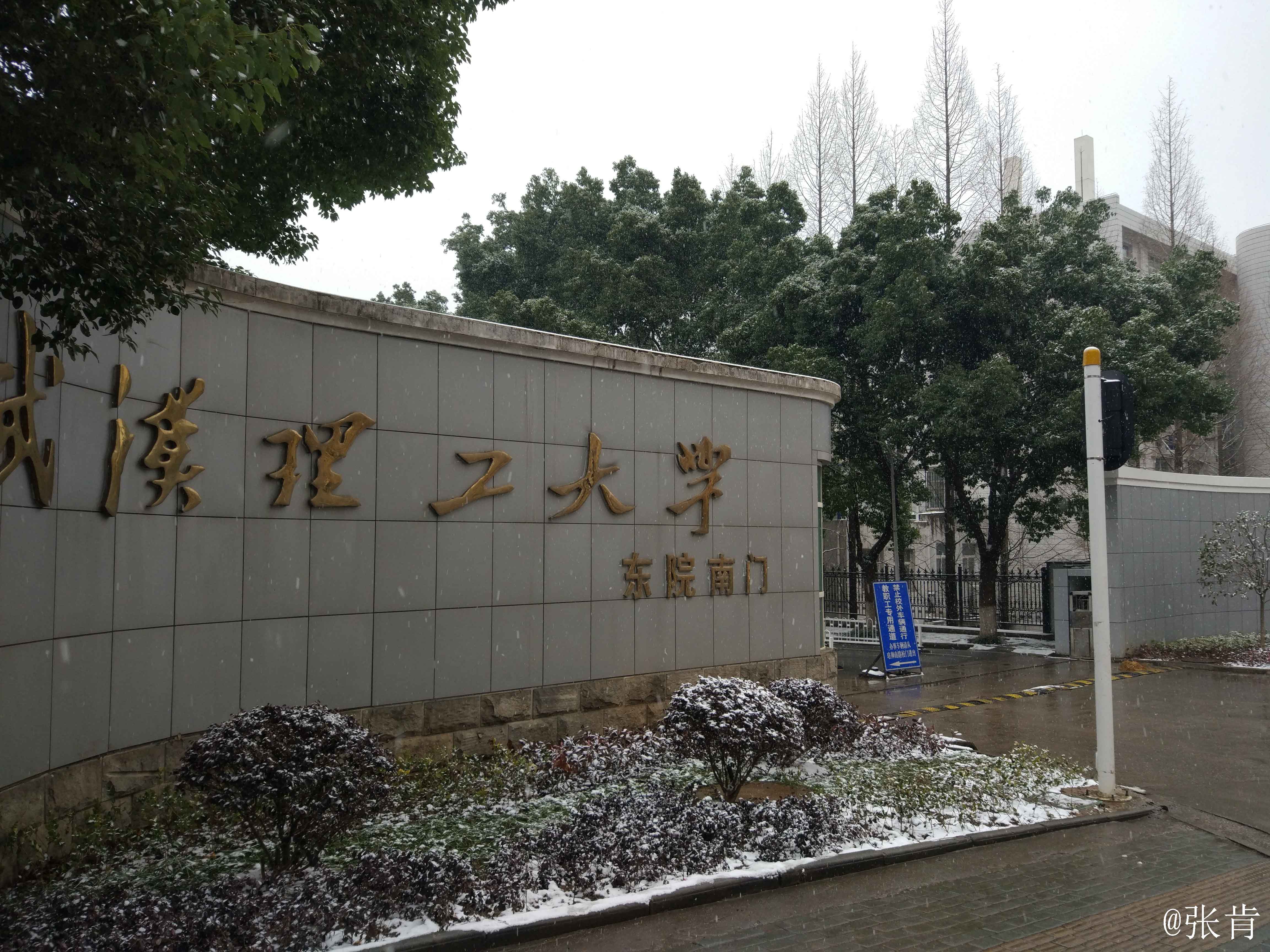 武汉理工大学毕业证电子版