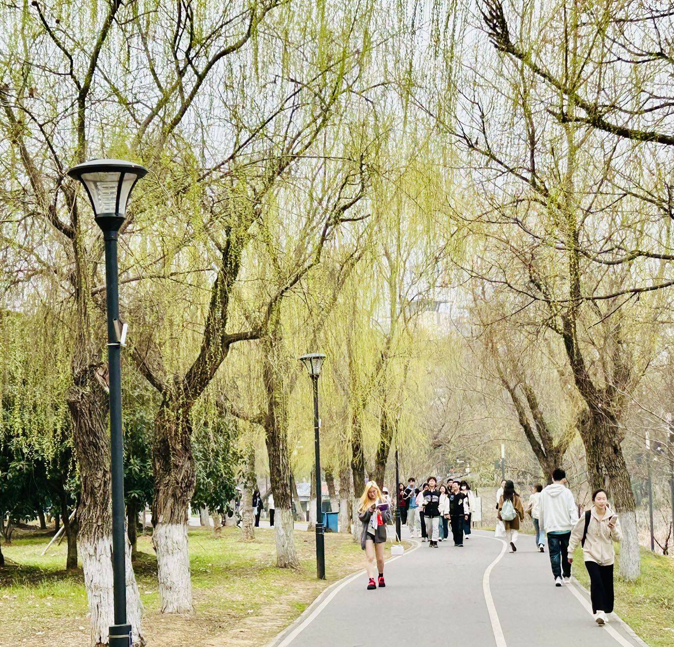 武汉理工大学本科生毕业要求