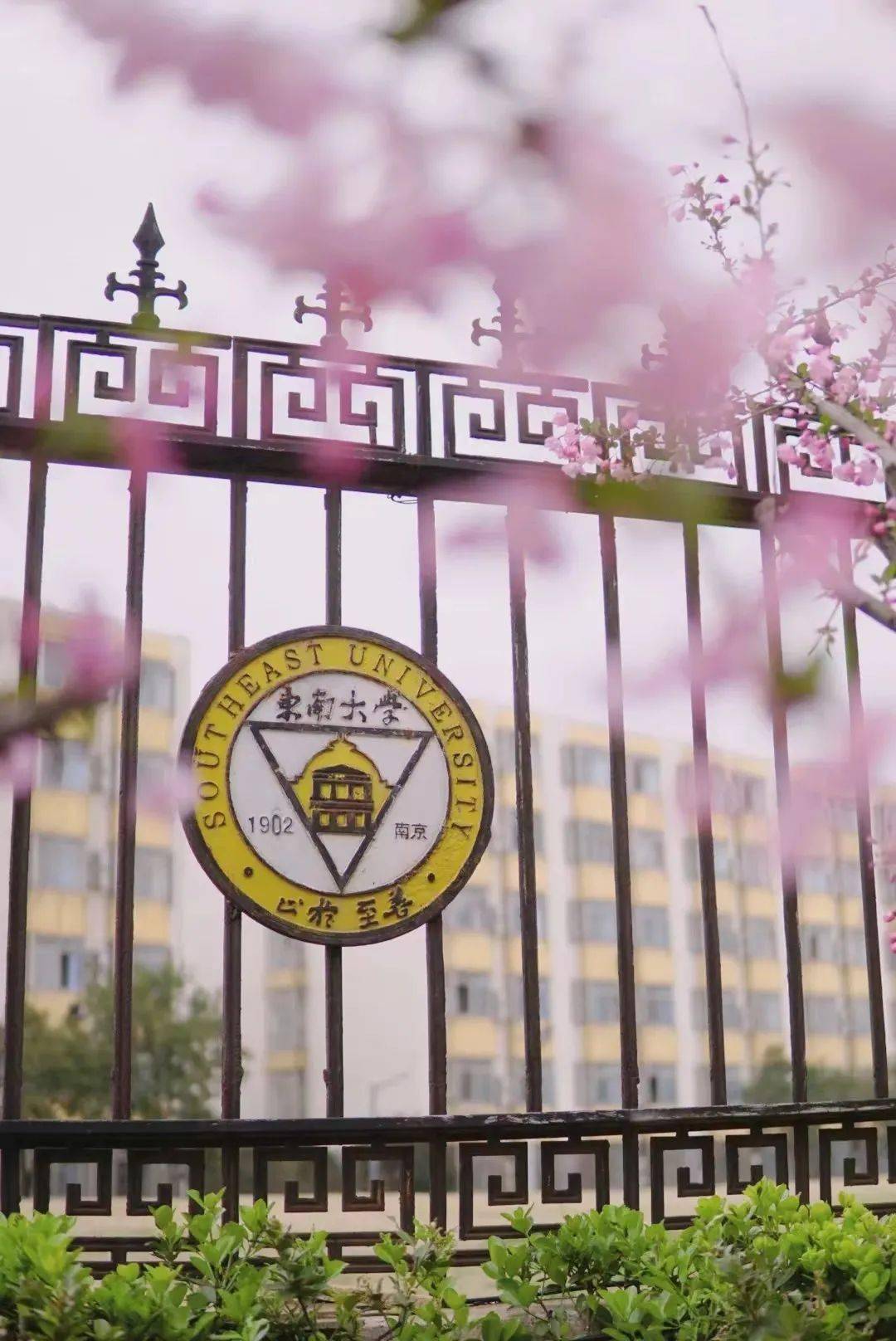 东南大学毕业证明怎么开