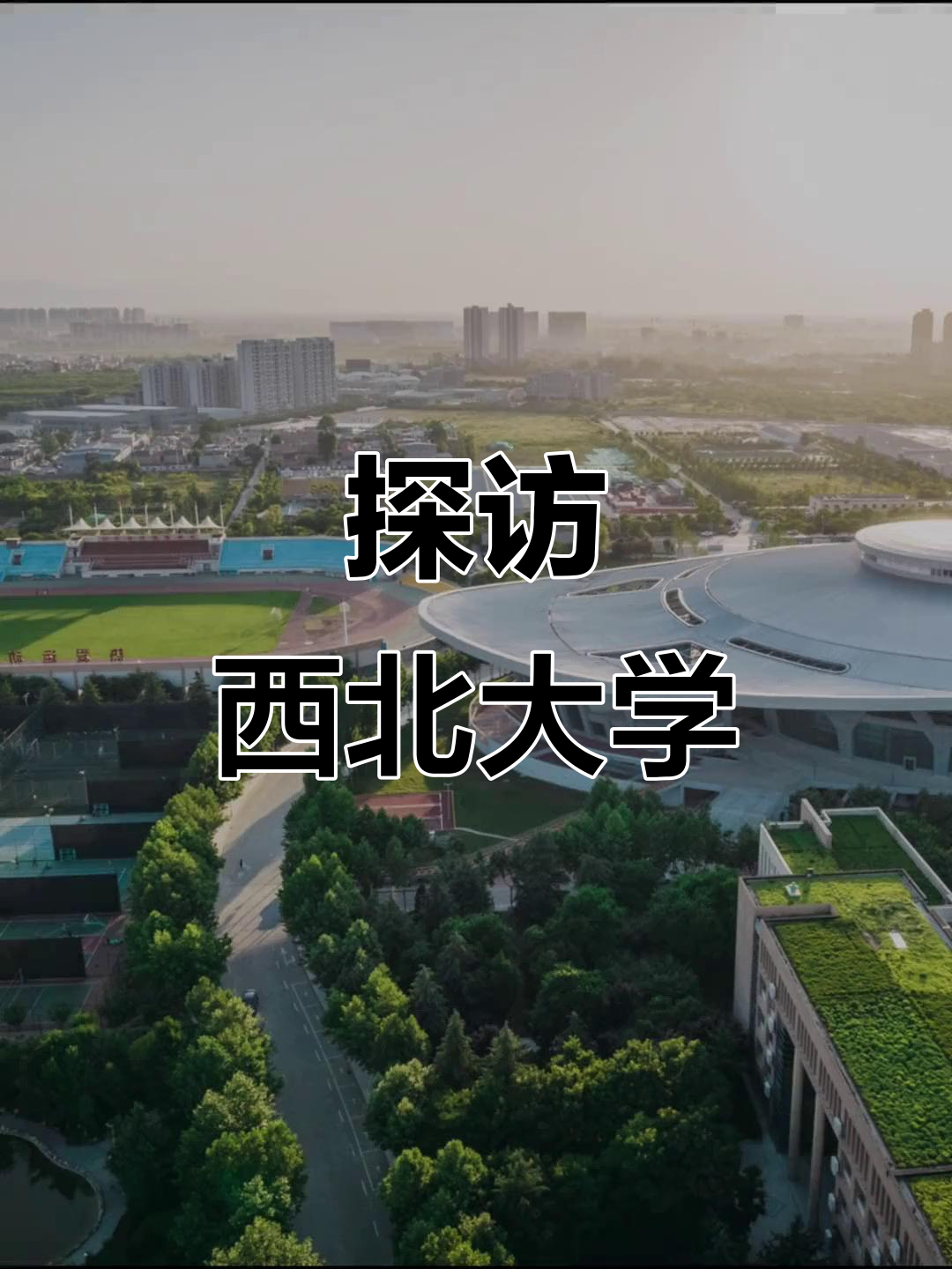 西北大学录取线2025年