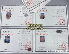 华中农业大学毕业证查询