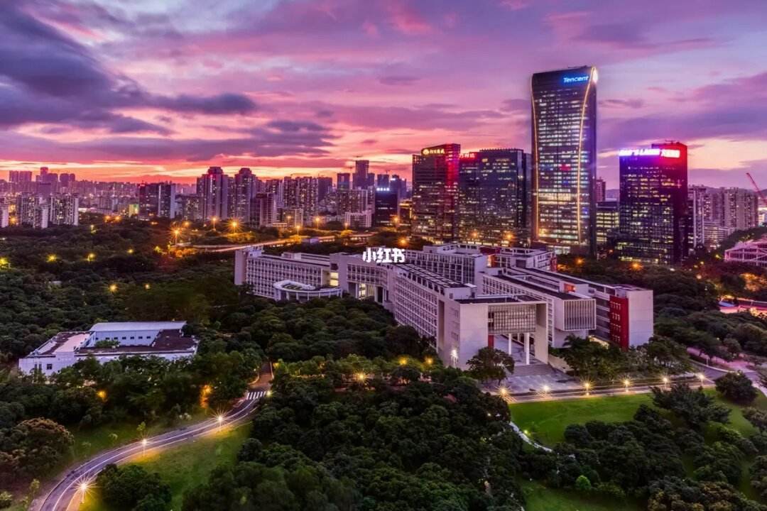 深圳大学学费